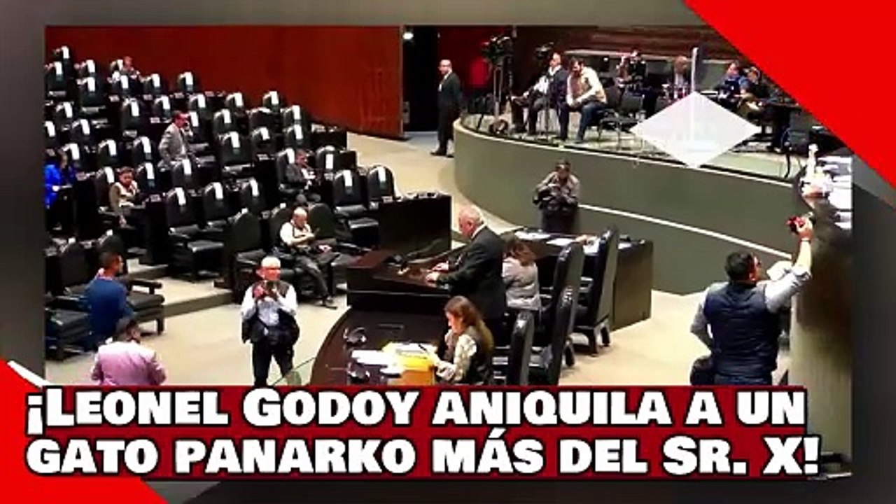 ¡VEAN! ¡Leonel Godoy aniquila a panarko Botello un gato más del Sr. X. por atacar logros de AMLO!