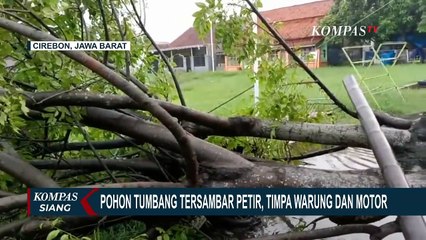 Pohon Tumbang di Cirebon, Warung dan Sepeda Motor Ringsek