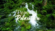 Relaxing Piano Music - Peaceful Soothing Instrumental Music, Stress Relief, Claming Music