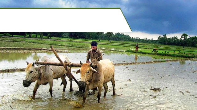 PM Kisan Yojana రూ.6 వేల నుంచి రూ.8 వేలకు పెంపు..! | Telugu Oneindia