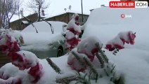 Kars kara teslim oldu: 69 köy yolu ulaşıma kapandı