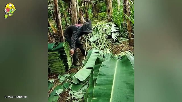 Satisfying Videos Of Workers Doing Their Job Perfectly Best Moments