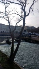 La sevre Niortaise à Niort