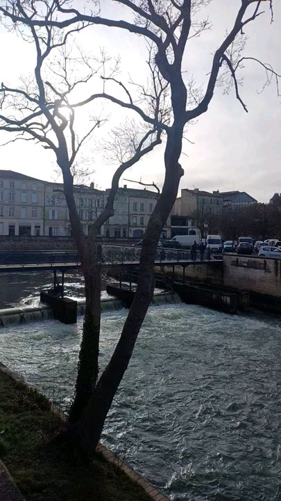 La sevre Niortaise à Niort