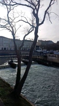 La sevre Niortaise à Niort