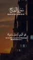 Surah Al Fath Ayah 28-29 - Surah Fath - Ayat 28-29 #quranic_mind