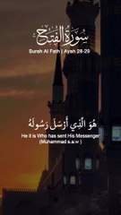 Surah Al Fath Ayah 28-29 - Surah Fath - Ayat 28-29 #quranic_mind