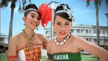YamahaSparkNanoKor15sec