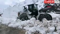 Hakkari'de 355 köy ve mezra yolu ulaşıma kapandı, kara yoluna çığ düştü