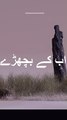 2 Line Urdu Poetry | Ab ke Bichry | Urdu Shayari #ytshorts
