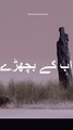 2 Line Urdu Poetry | Ab ke Bichry | Urdu Shayari  ytshorts