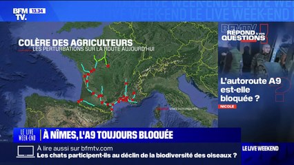 Descargar video: Colère des agriculteurs: l'autoroute A9 est-elle bloquée? BFMTV répond à vos questions