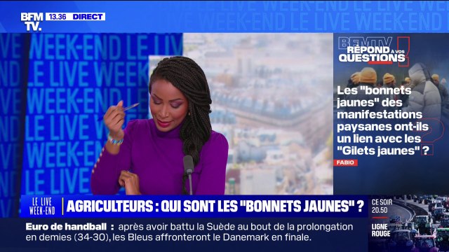 Agriculteurs: qui sont les bonnets jaunes ? BFMTV répond à vos questions