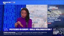 Comment aider les agriculteurs? BFMTV répond à vos questions