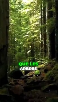 Le Savais-Tu Fait Étonnant Sur Les Arbres ! #shorts #trending #naturefacts