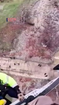 Woman was rescued after being trapped for 15 hours on top of her overturned car