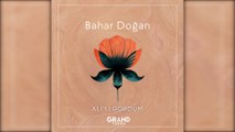 Bahar Doğan - Ali'yi Gördüm