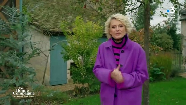 Le générique de En bonne compagnie présenté par Sophie Davant sur France 3