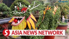 Vietnam News | Tree-mendous dragons