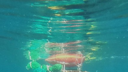 해녀 화가, 제주 바다를 그리다 / YTN