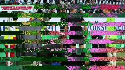 bundesliga VfL Wolfsburg gegen 1.fc Köln linienrichter verletzt _ Spieler sc