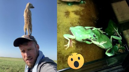 Life's Surprises in a Nutshell!  || Best of Internet