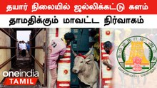 Namakkal சாலபாளையம் Jallikattu-க்கு அரசு அனுமதி கிடைக்குமா? | Oneindia Tamil
