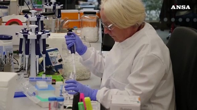 Carne coltivata a una svolta,ora piu' facile ed economica