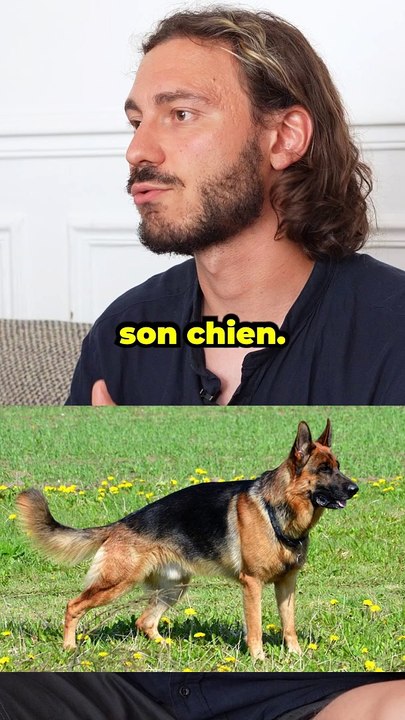 La suite du chien ...