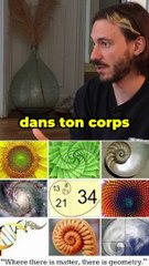 La vérité sur le nombre d'or