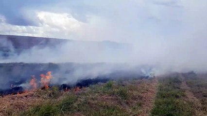 Grande área de vegetação é queimada em incêndio no Esmeralda