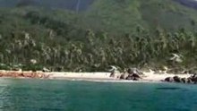 Island_test