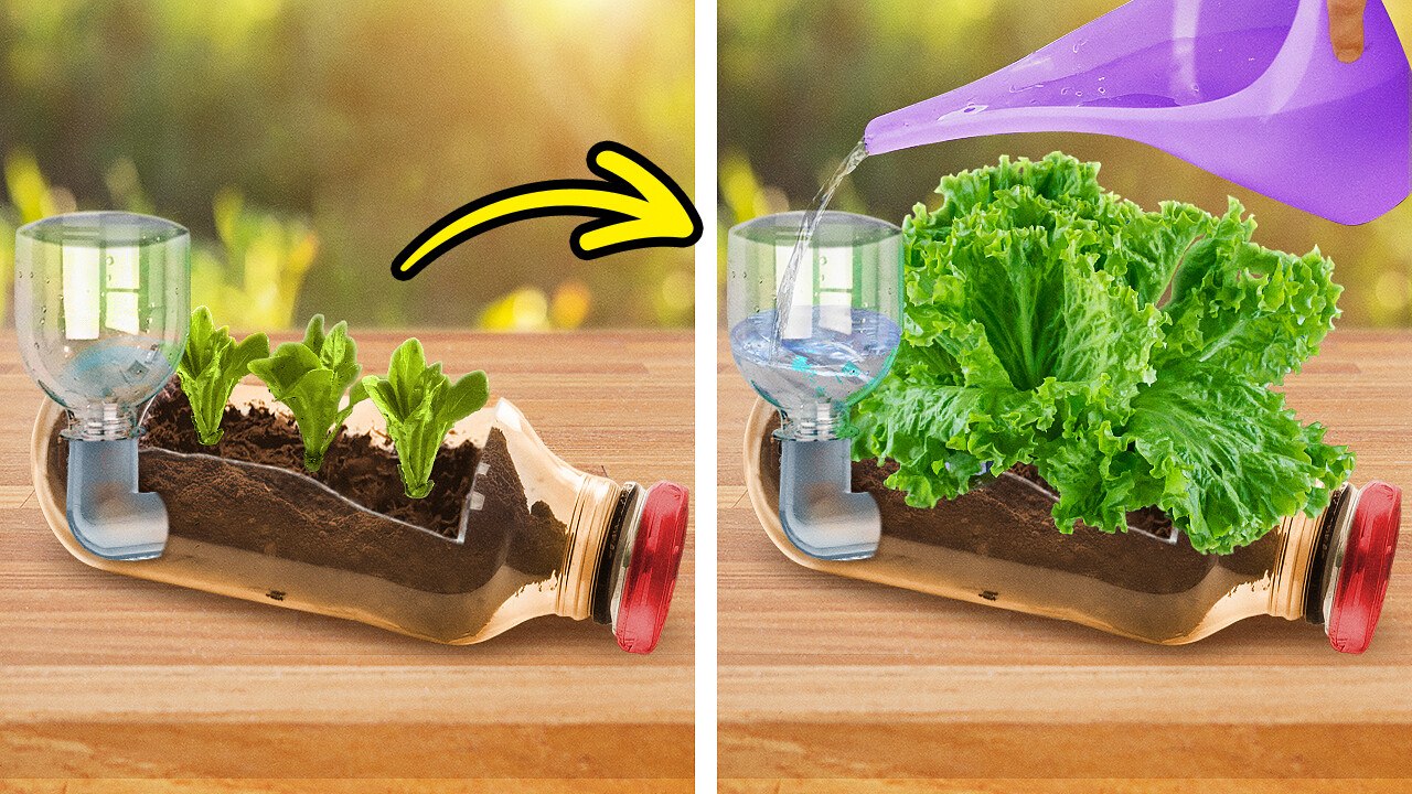 Astuces intelligentes et artisanat pour un jardin florissant et une cour invitante 