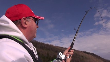 Superbe pêche à la truite grise sur le memphrémagog