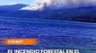 El incendio forestal en el Parque Nacional Los Alerces - Chubut