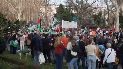 Multidão protesta em Madri contra ‘genocídio’ em Gaza