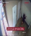 Câmera de segurança flagra furto de bike no centro de BC