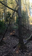 paisajes ya naturaleza