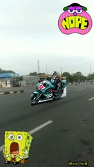 elf abu2 jadi tayo kuning