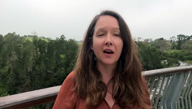 Search resumes for swimmer missing at Dangar Falls, NSW