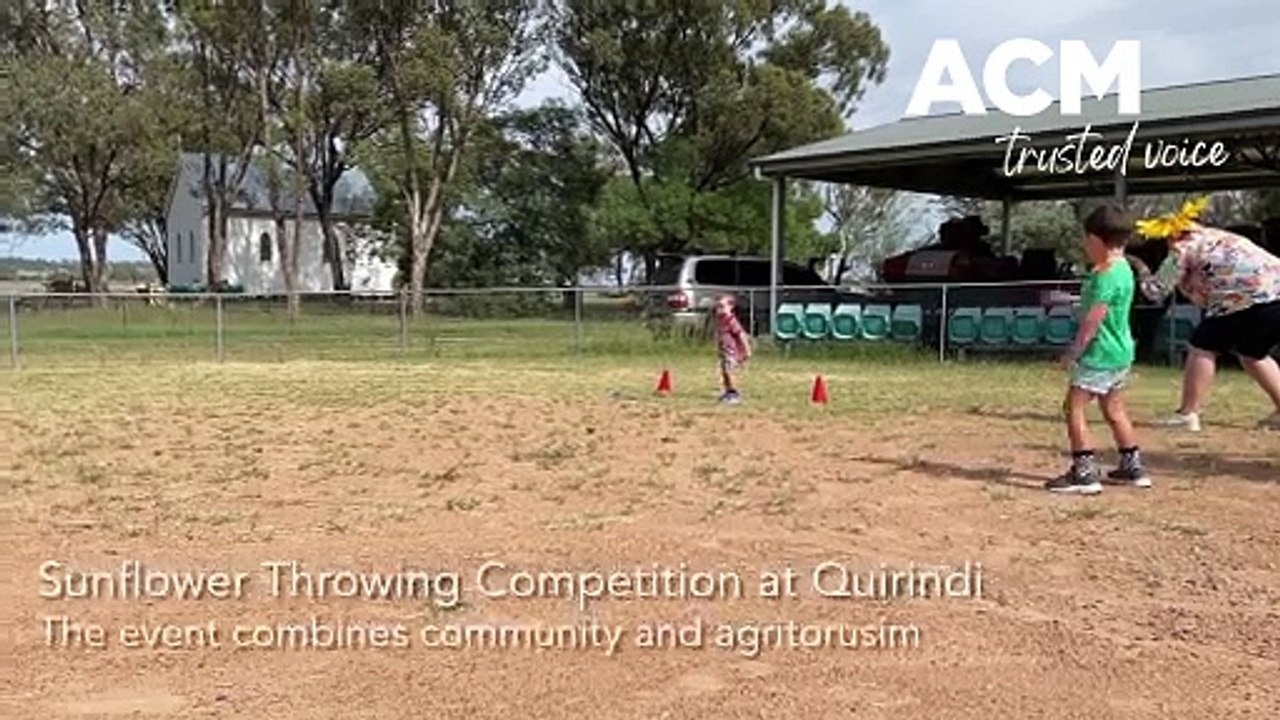 Qurindi 2024 Sunflower Throwing Competition