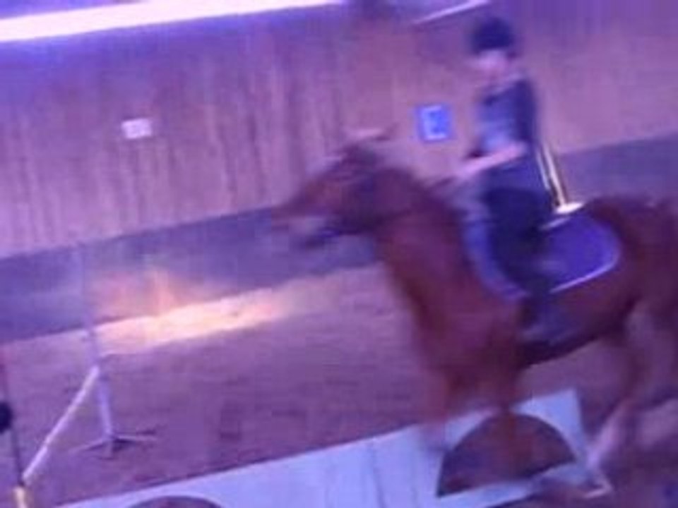 Fiona et Jéroboham sur un parcour de saut
