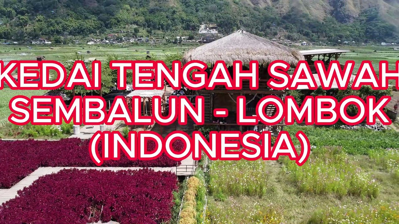 The Enchanting Allure of Kedai Sawah Tourism (Sembalun - Lombok)