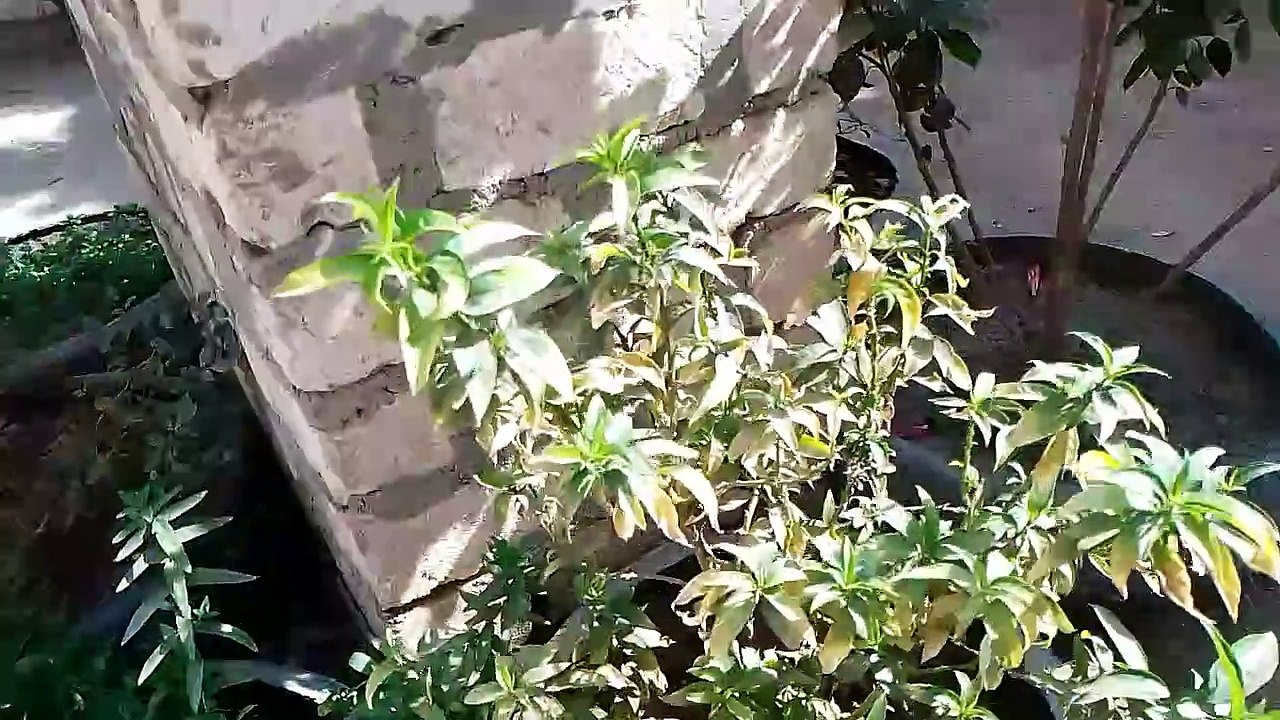 زيارة لصاحب قناة اسرار الزراعة