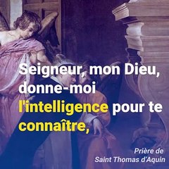 ✙ 28 Janvier : Saint Thomas d'Aquin (+ 1274) ✙