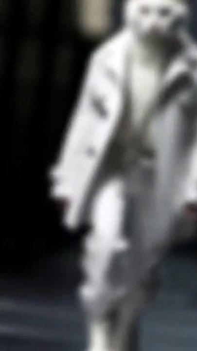 Amazing video cat Dress new fashion