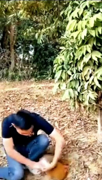 Best funny video