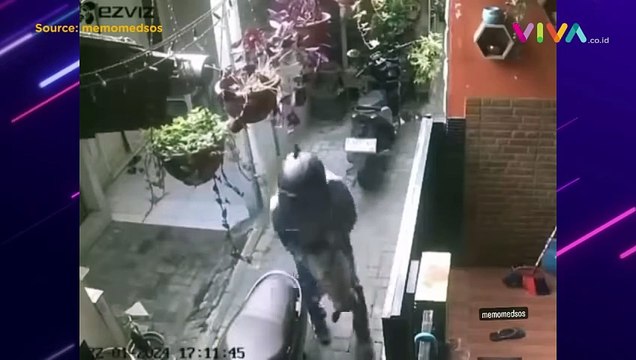 CCTV Pencurian Kucing, Dimasukkan Paksa ke Bagasi Motor