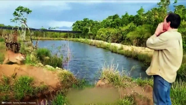 Animals Reunited With Their Owners After Years