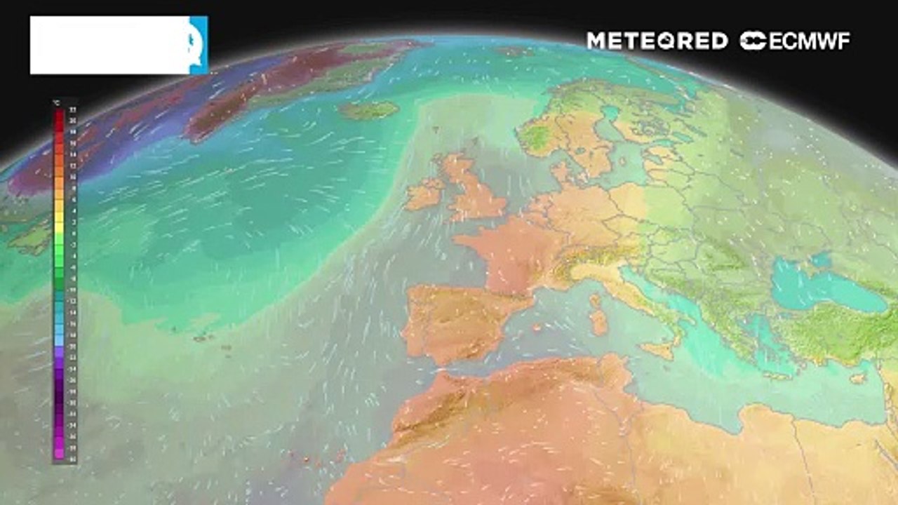 Mitten im Hochwintermonat Januar: Mild, mild und nochmals mild! Der Winter hat keine Chance!